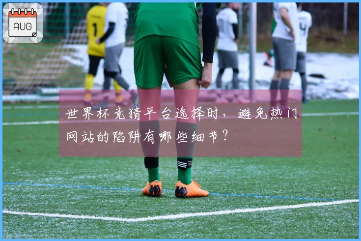 世界杯竞猜平台选择时，避免热门网站的陷阱有哪些细节？