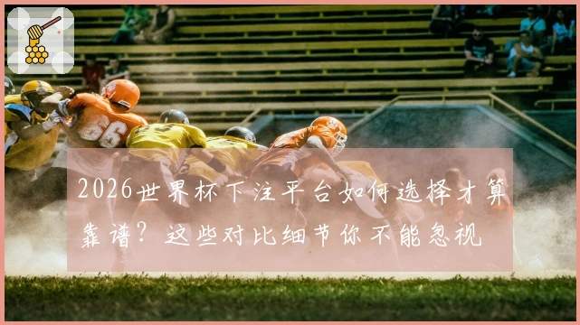 2026世界杯下注平台如何选择才算靠谱？这些对比细节你不能忽视