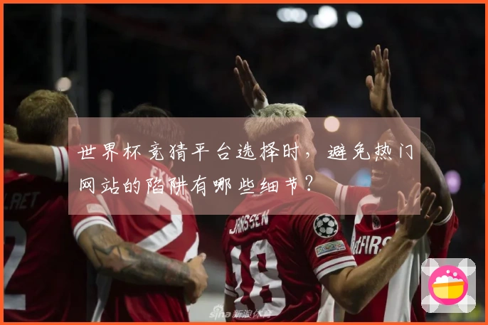 世界杯竞猜平台选择时，避免热门网站的陷阱有哪些细节？